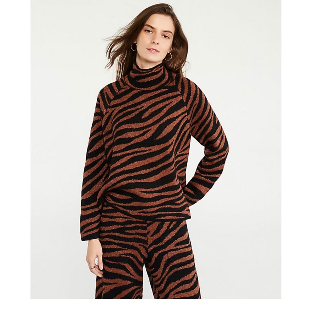 Ann Taylor Sweater and Cropped Pants Set size Medium